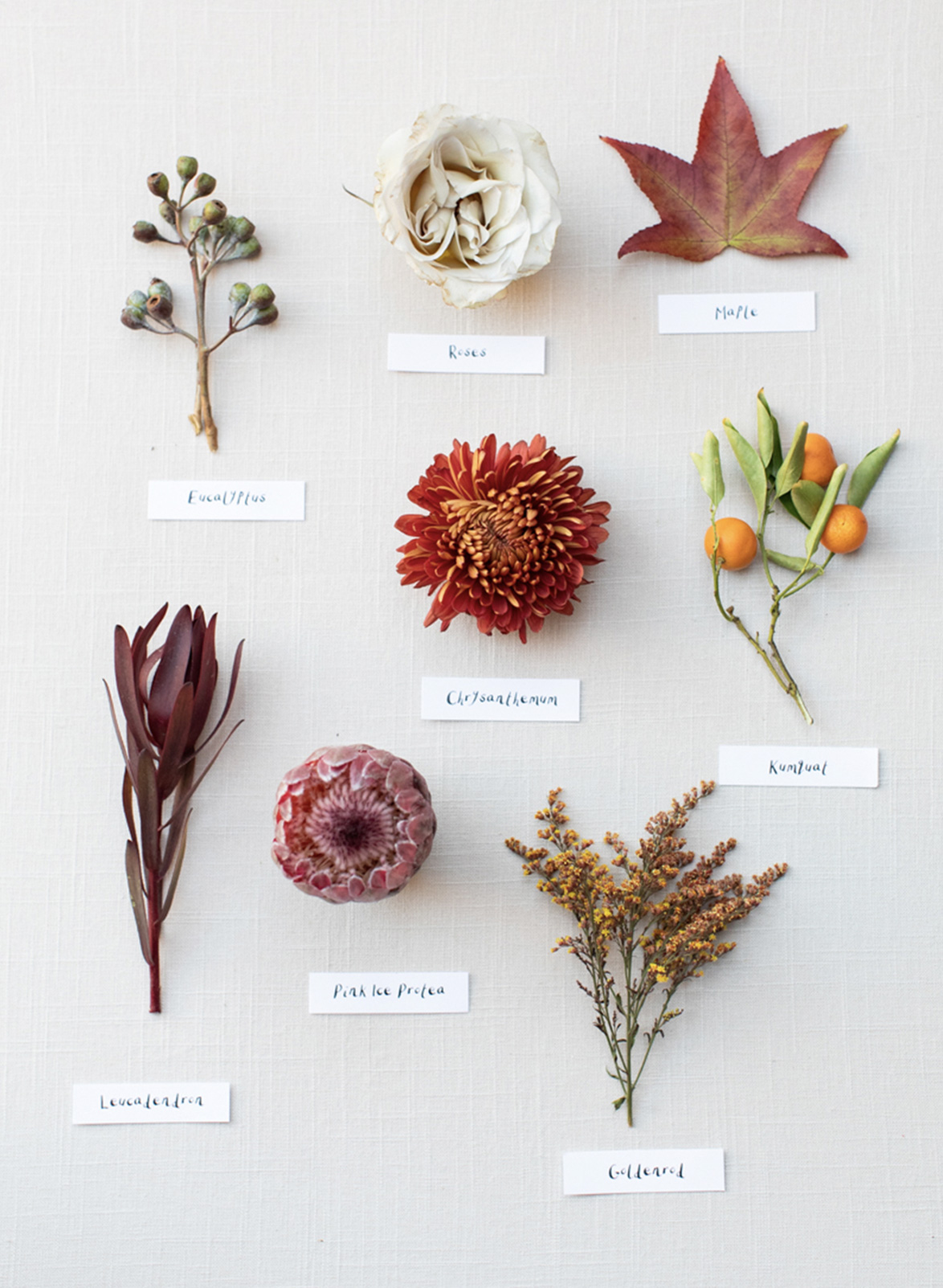 Matilda's Bloombox